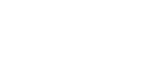 solowin_official-logo